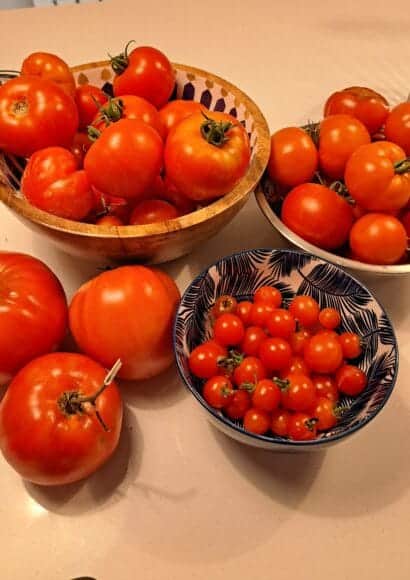 bowls of mixed tomatoes for tomato ketchup
