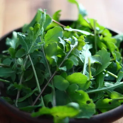 Thumbnail for Rocket (Arugula) and Basil Pesto