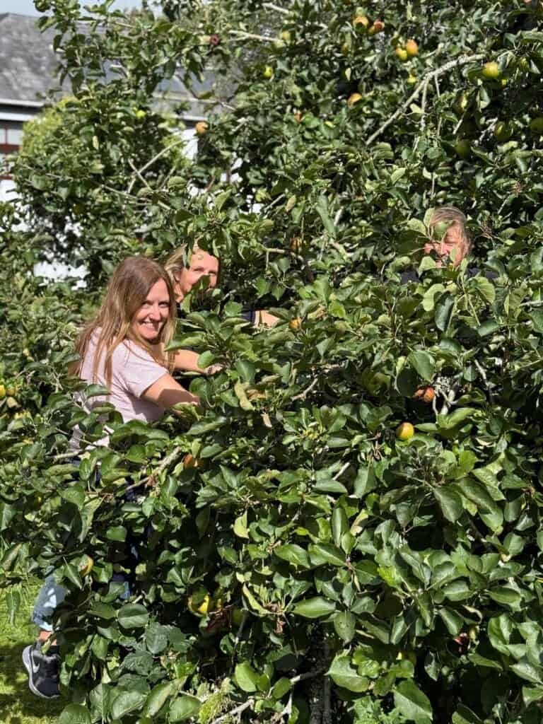 Chloe and her family, picking apples in the tree