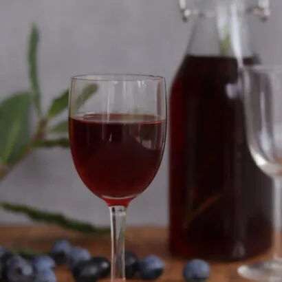 Thumbnail for Sloe Gin with Aromatics